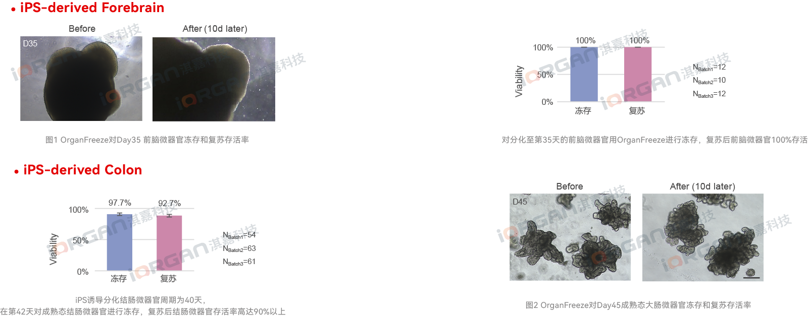 OrganFreeze冻存液(图1)