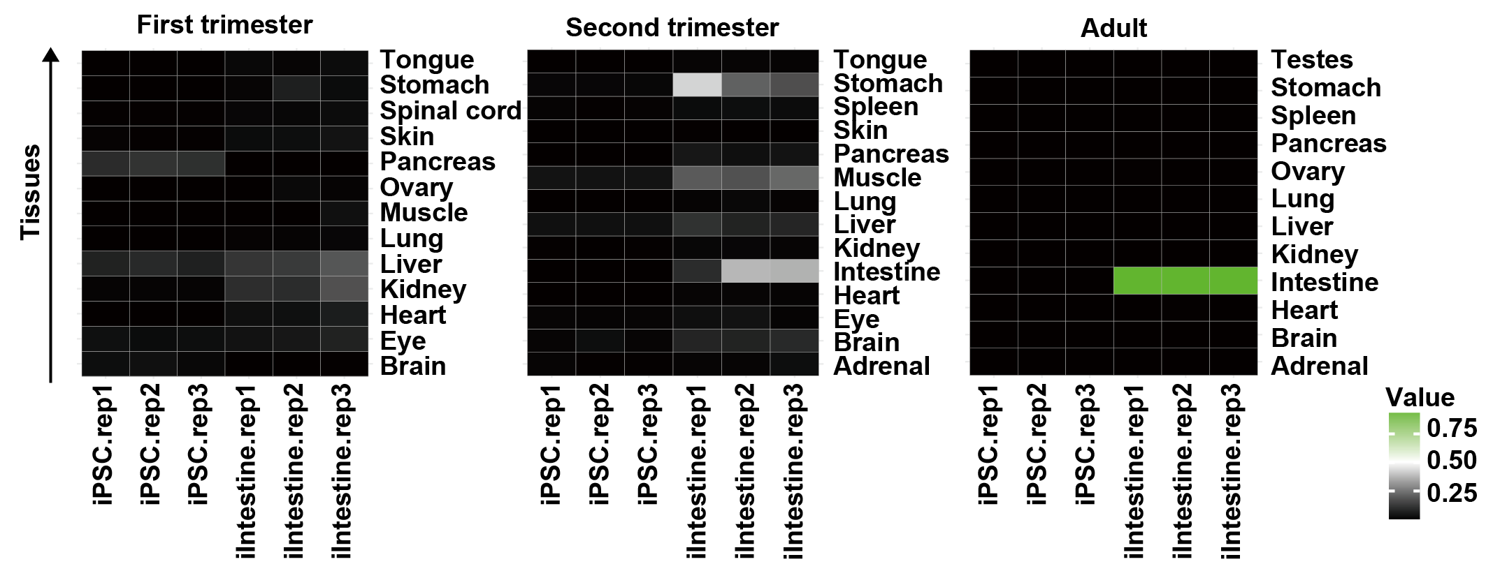 即用型 iPSC 小肠类器官，3d0130(图4)